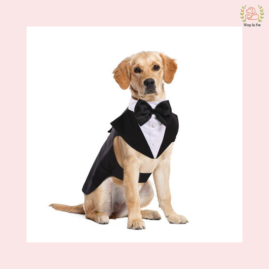 Classic Black Dog Tuxedo Suit - Formal Wedding Cape with Bow Tie