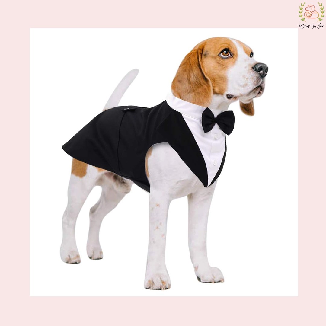 Classic Black Dog Tuxedo Suit - Formal Wedding Cape with Bow Tie