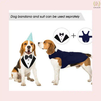 Classic Black Dog Tuxedo Suit - Formal Wedding Cape with Bow Tie