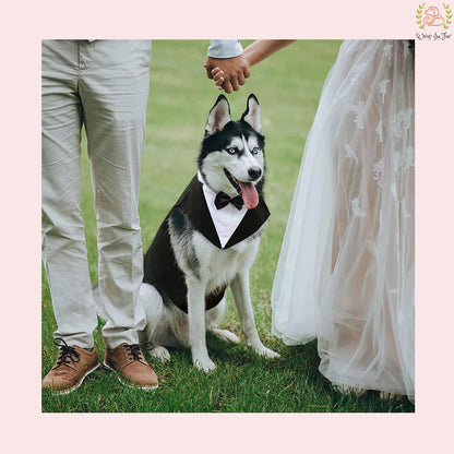 Classic Black Dog Tuxedo Suit - Formal Wedding Cape with Bow Tie