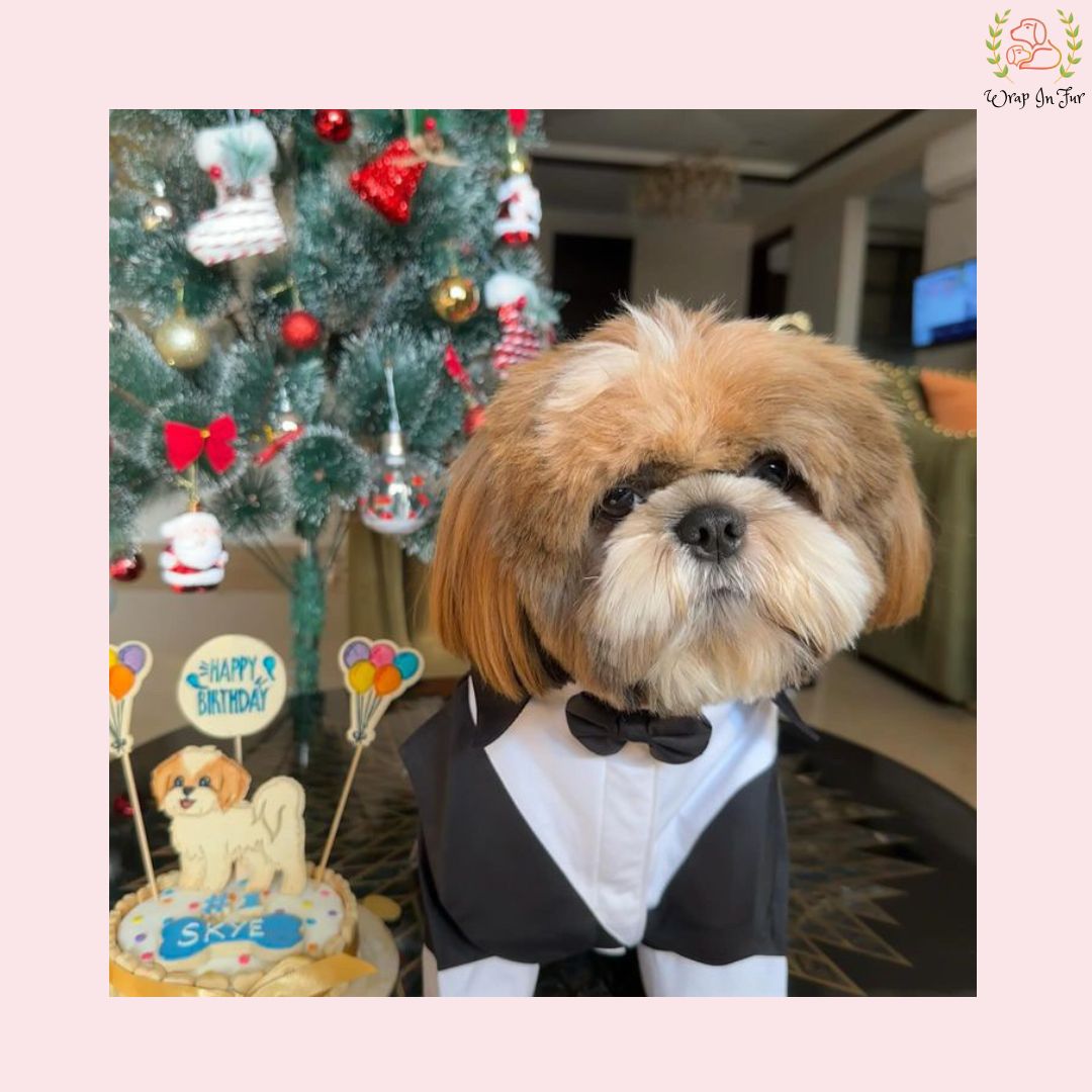 Classic Black Dog Tuxedo Suit - Formal Wedding Jacket with Bow Tie