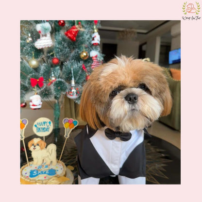 Classic Black Dog Tuxedo Suit - Formal Wedding Jacket with Bow Tie