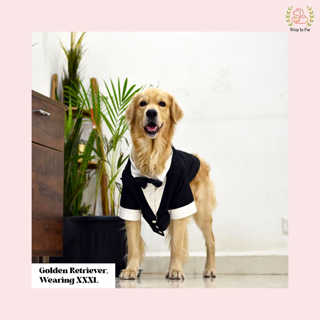 Classic Black Dog Tuxedo Suit - Formal Wedding Jacket with Bow Tie