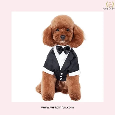 Classic Black Dog Tuxedo Suit - Formal Wedding Jacket with Bow Tie