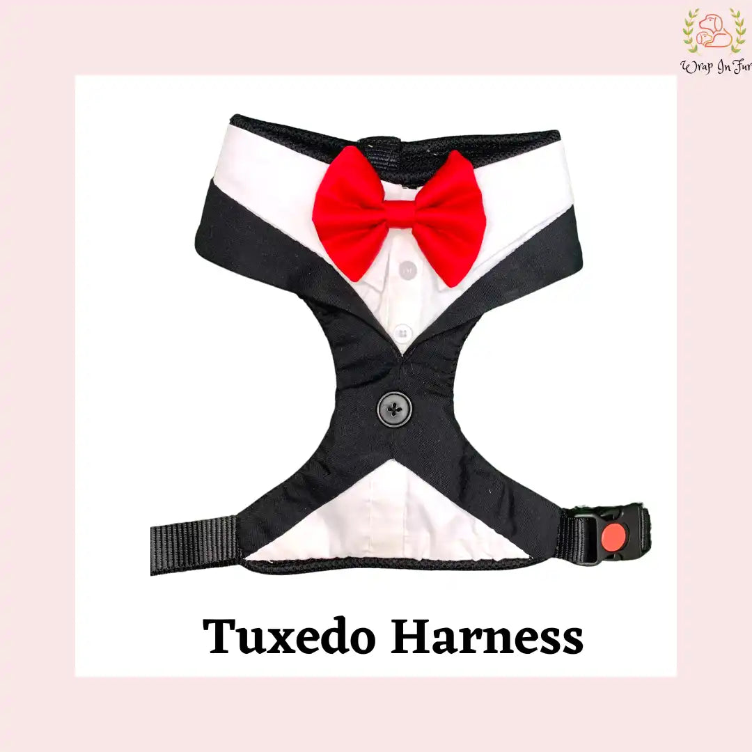 Classic Black Tuxedo-Style Dog Harness - Safe Formal Wedding Wear