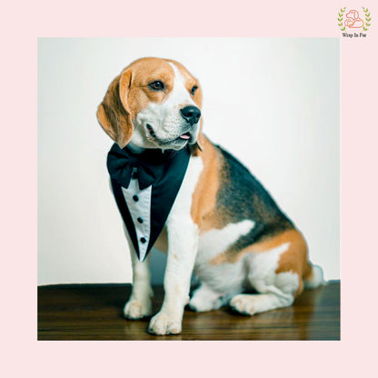Classic Black Tuxedo Style Dog Bandana - Formal Wedding Accessory