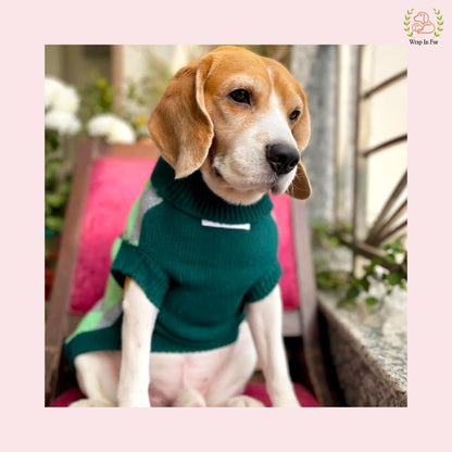 Classic Diamond Pattern Dog Sweater – Warm & Comfy