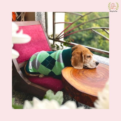 Classic Diamond Pattern Dog Sweater – Warm & Comfy