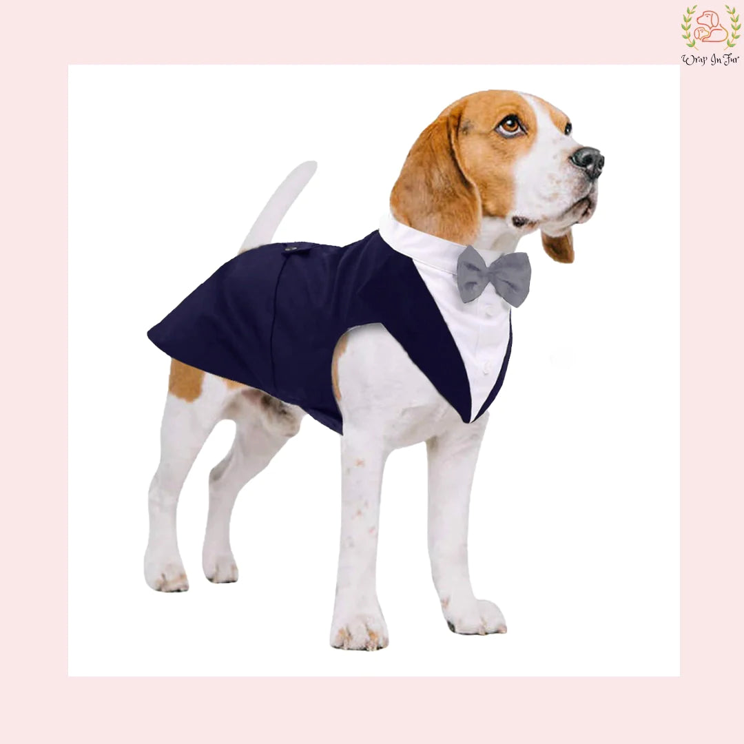 Classic Navy Blue Dog Tuxedo Cape - Formal Wedding Vest