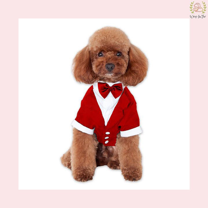 Classic Red Velvet Dog Tuxedo Jacket - Festive Formal Suit