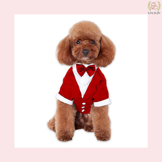 Classic Red Velvet Dog Tuxedo Jacket - Festive Formal Suit