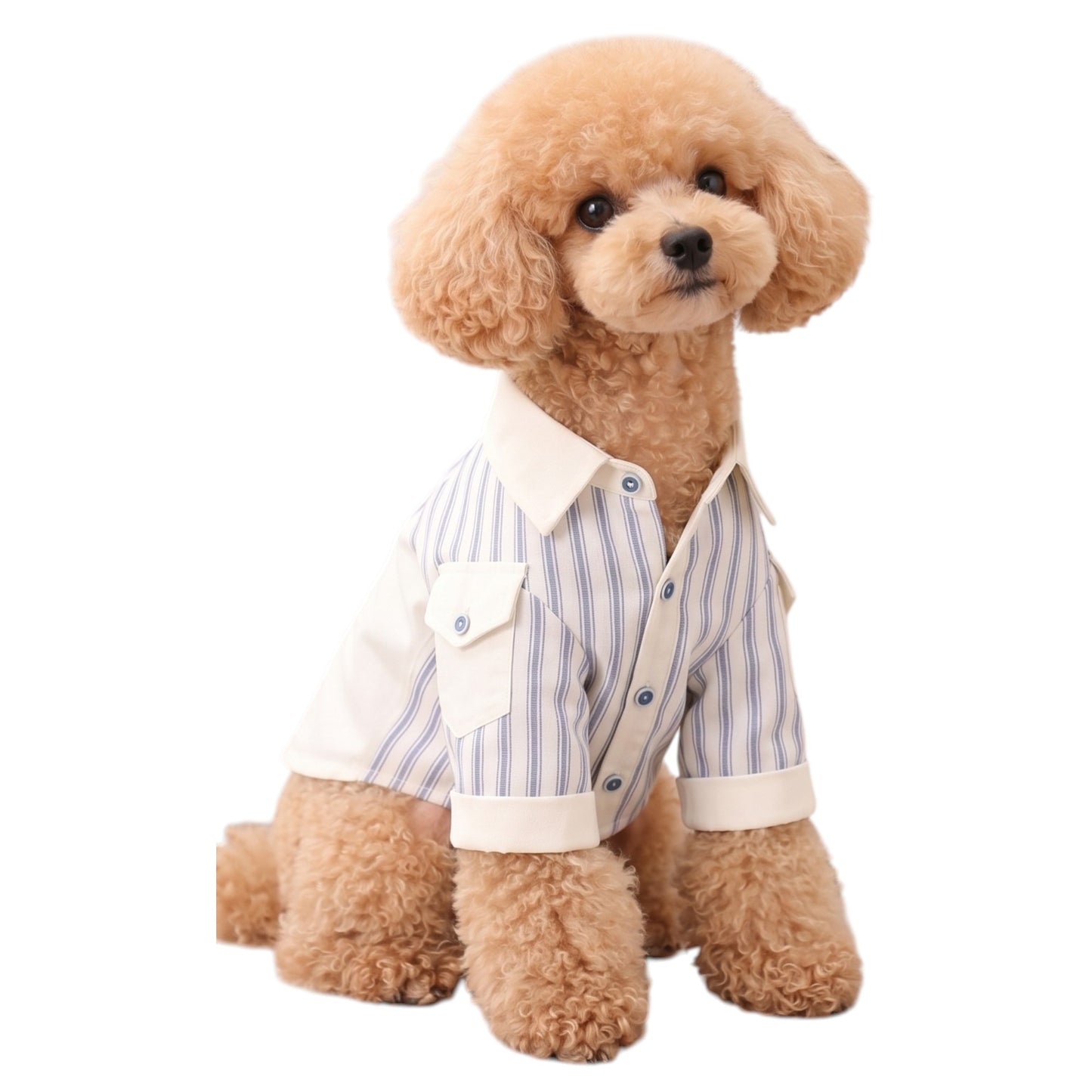 Classic Stripe Formal Dog Shirt