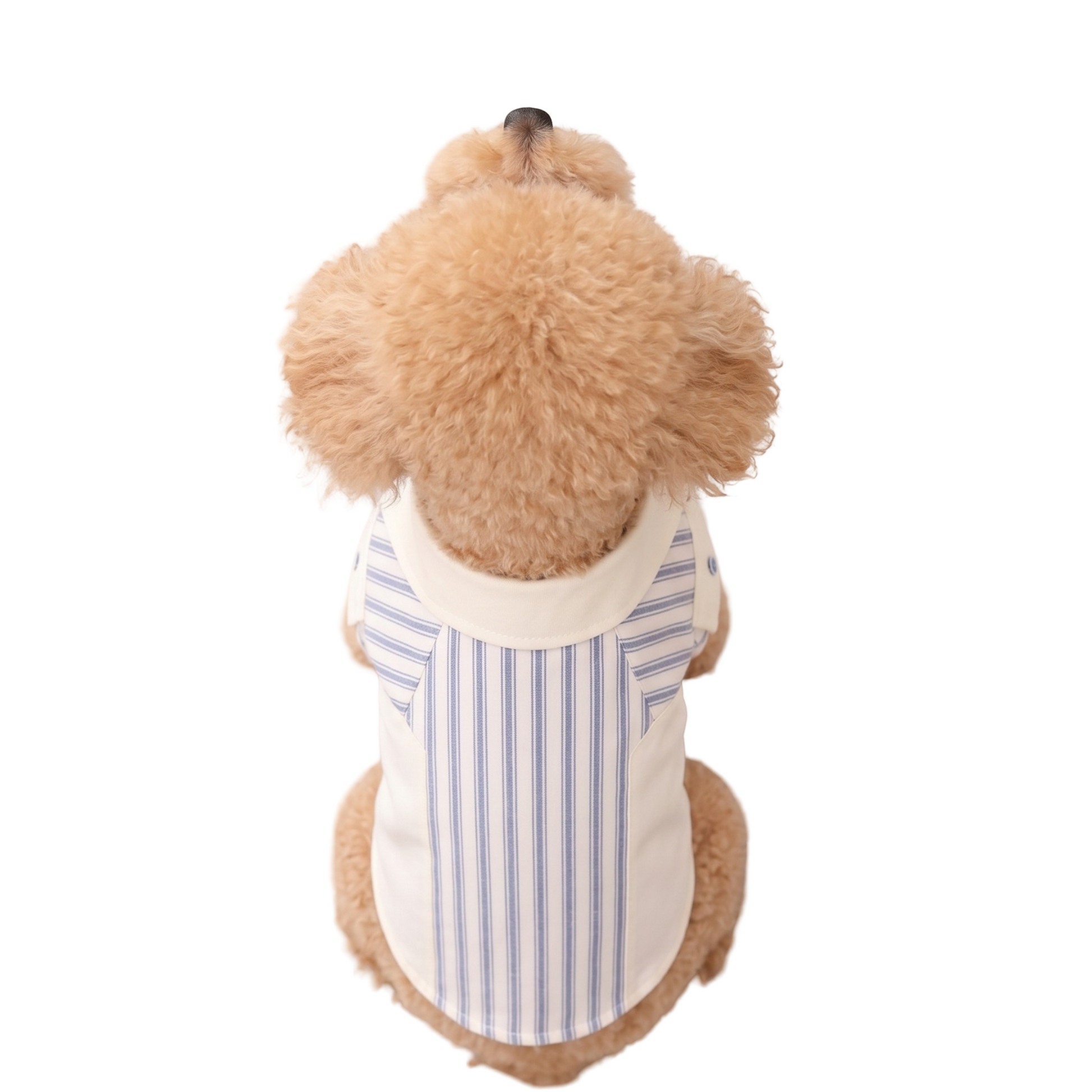 Classic Stripe Formal Dog Shirt
