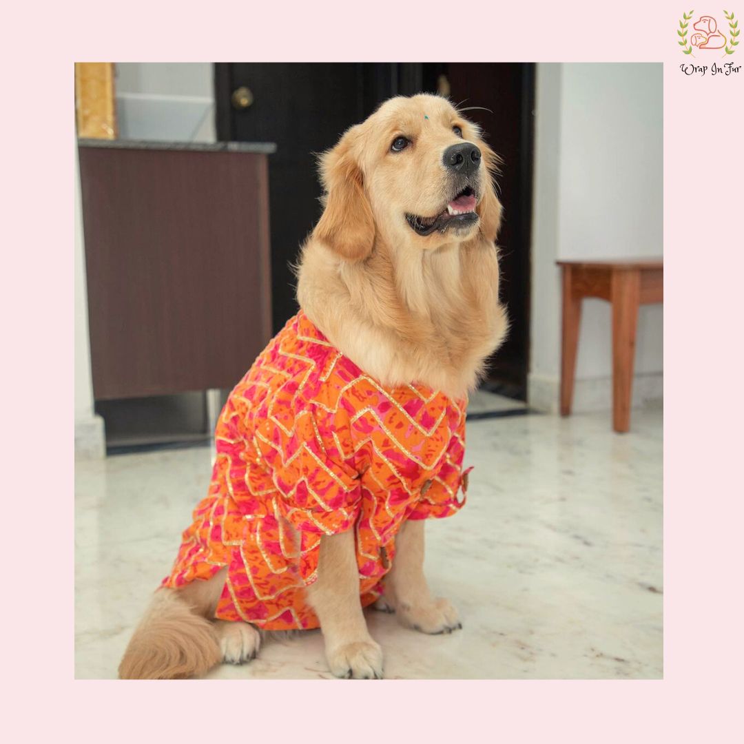 Coral Blush Gota Dog Kurta - Premium Indian Dog Ethnic Wear