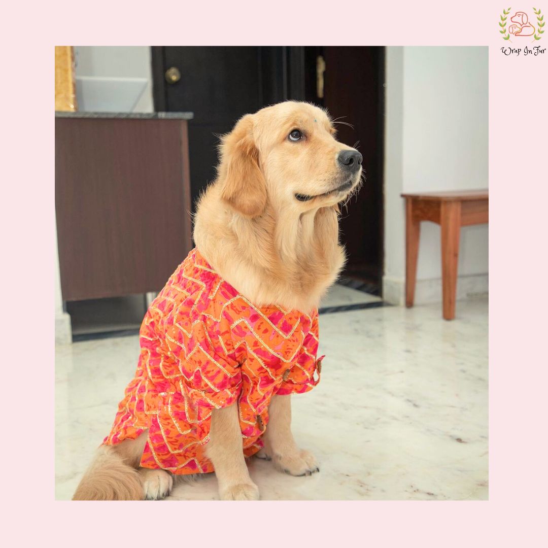 Coral Blush Gota Dog Kurta - Premium Indian Dog Ethnic Wear