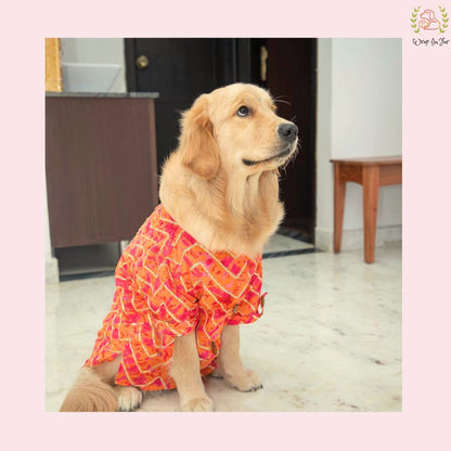 Coral Blush Gota Dog Kurta - Premium Indian Dog Ethnic Wear