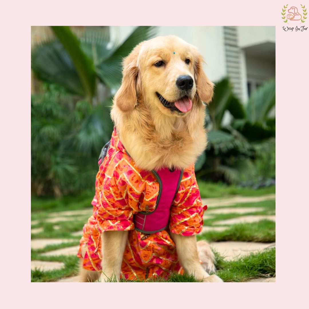 Coral Blush Gota Dog Kurta - Premium Indian Dog Ethnic Wear