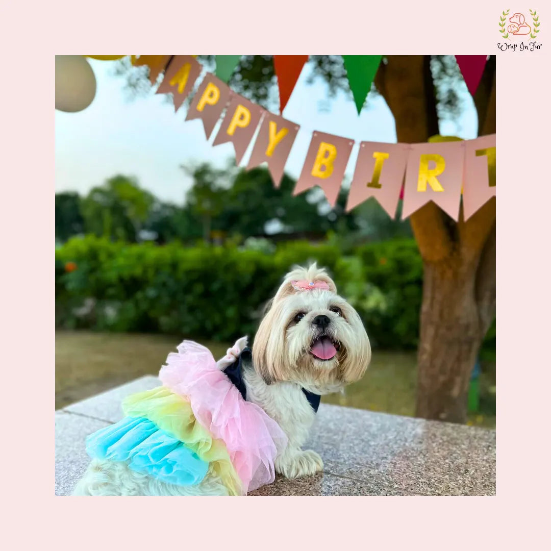 Cotton Candy Dog Frock for small dog