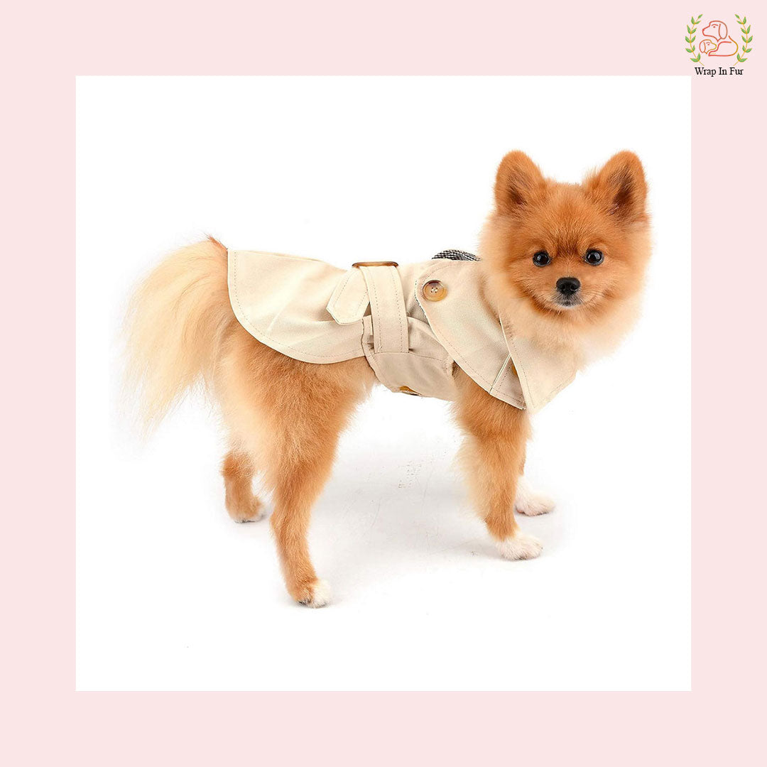 Cozy Cream Coat for Dogs – Winter Essentials