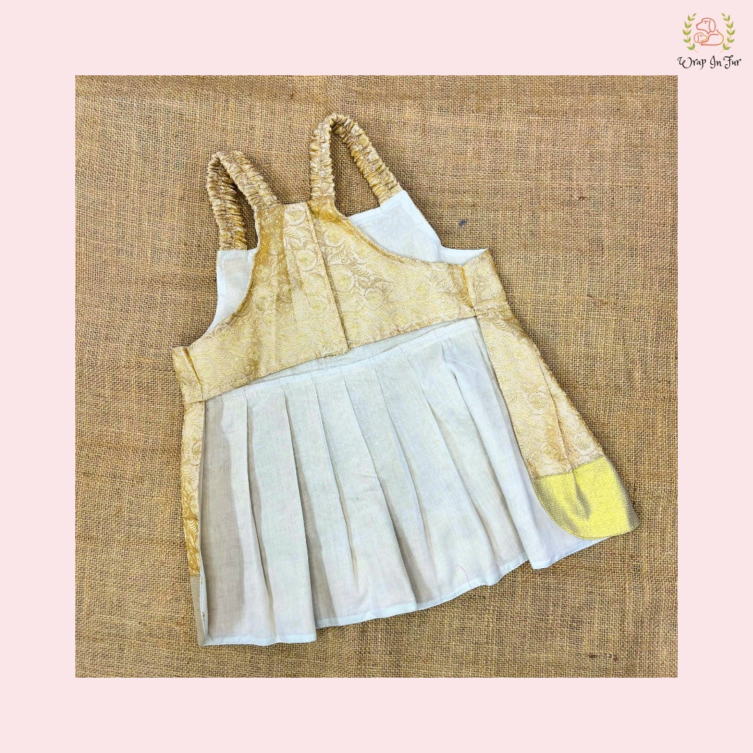 Cream Gold Designer Dog Frock – Bridal Dog Wedding Outfit