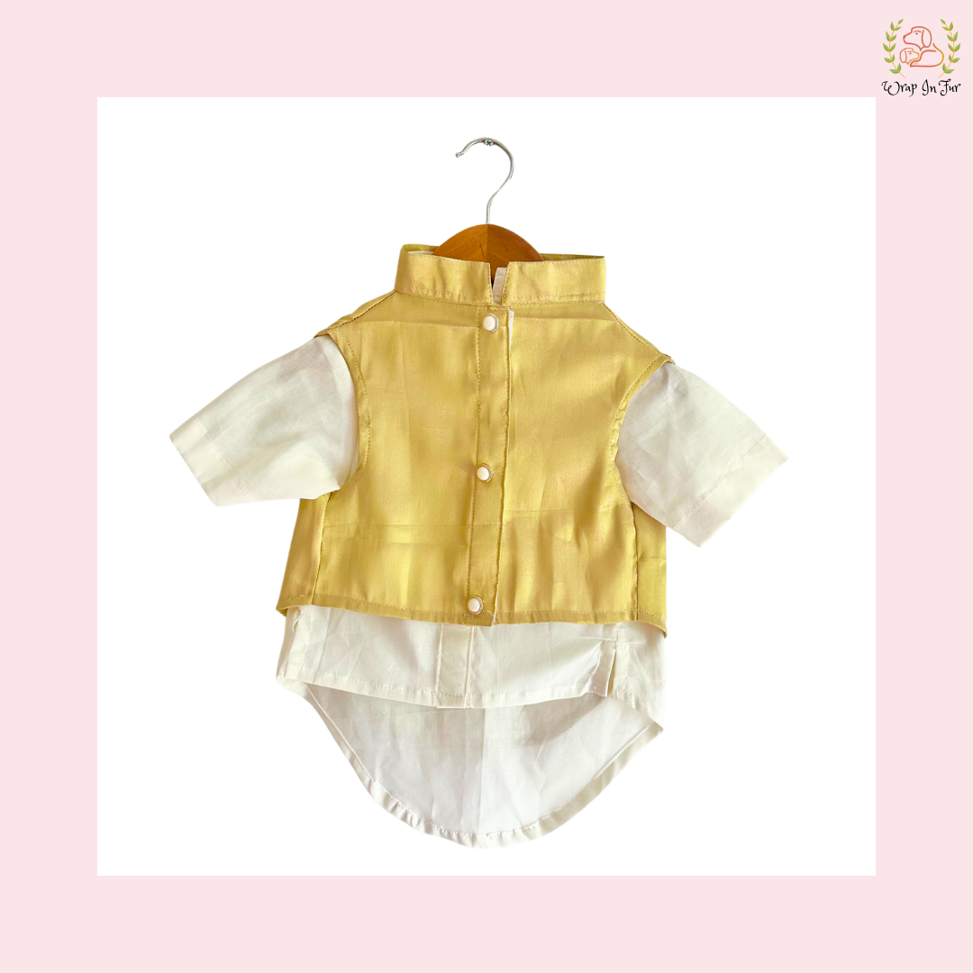 Cream & Gold Nehru Jacket Dog Kurta Set - Indian Dog Ethnic Wear