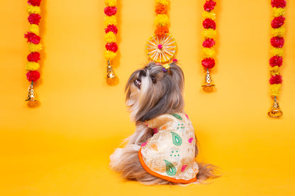 Cream Patakha Wedding Dog Sherwani – Premium Ethnic Wear for Weddings & Celebrations