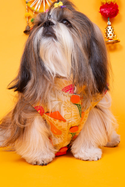 Cream Patakha Wedding Dog Sherwani – Premium Ethnic Wear for Weddings & Celebrations