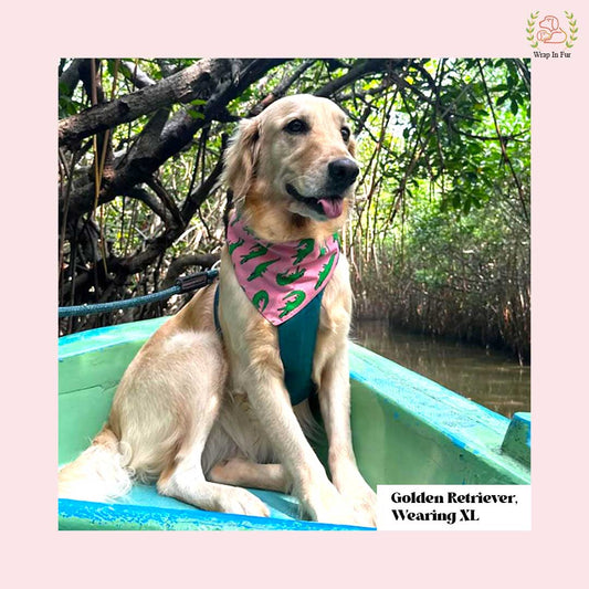 Crocodile Dog Bandana