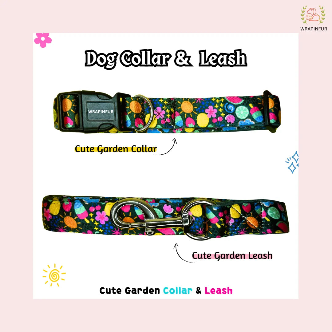 Cute Garden Dog Collar and Leash for big dog