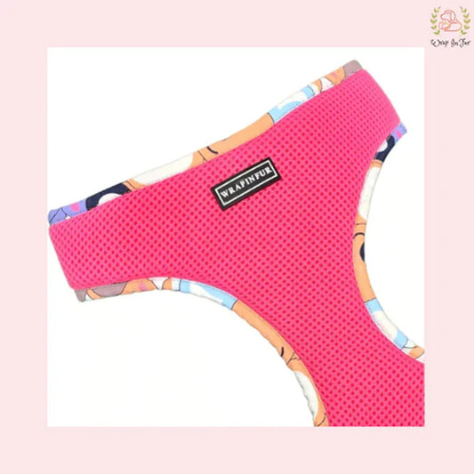 Cute Teddy Reversible Harness