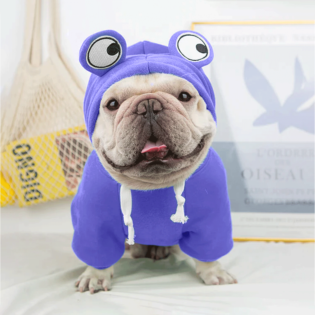 Cute Blue Froggy Dog Hoodie – Warm, Fun & Perfect for Winter