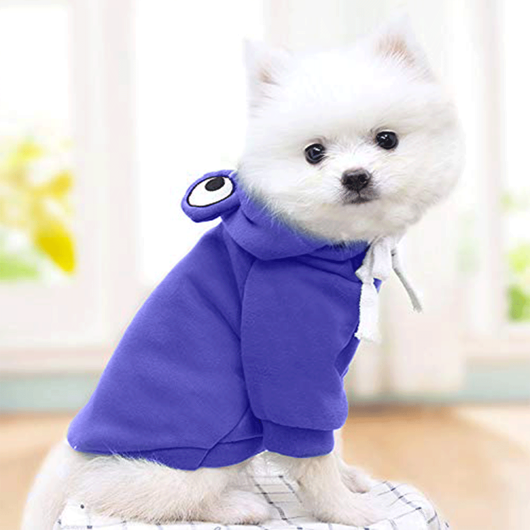 Cute Blue Froggy Dog Hoodie – Warm, Fun & Perfect for Winter