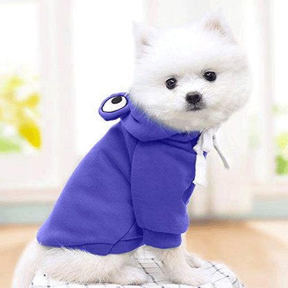 Cute Blue Froggy Dog Hoodie – Warm, Fun & Perfect for Winter