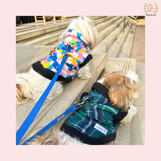 Cute Cozy Winter Dog Jacket – Soft & Stylish Winter Wear for Pets