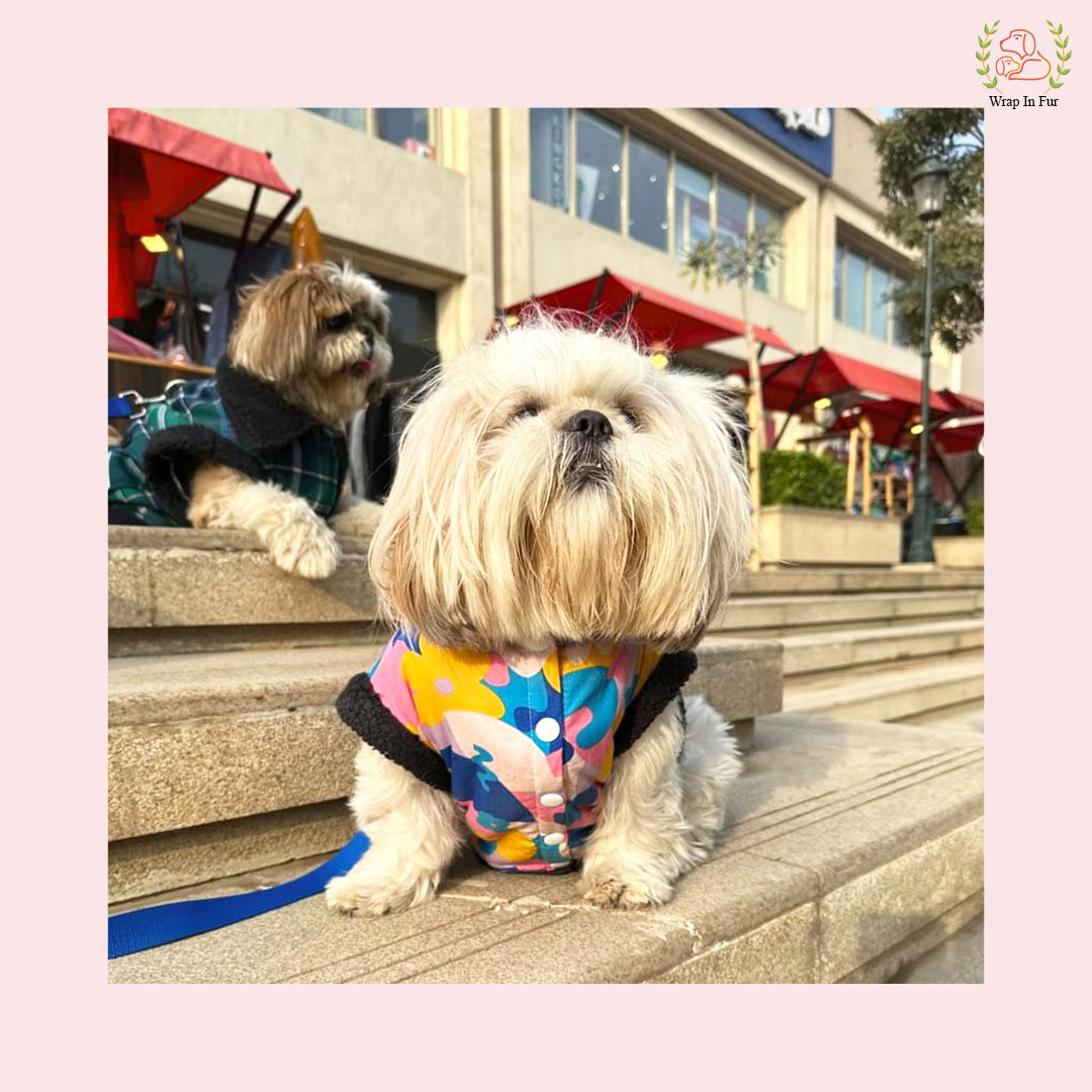Cute Cozy Winter Dog Jacket – Soft & Stylish Winter Wear for Pets