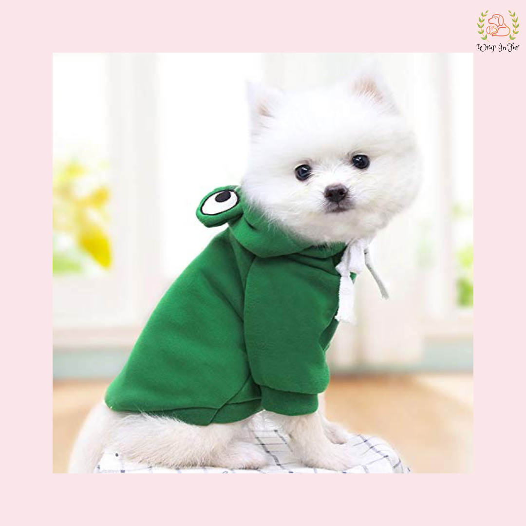Cute Frog Dog Hoodie – Warm, Cozy & Cartoon Style Winter Wear