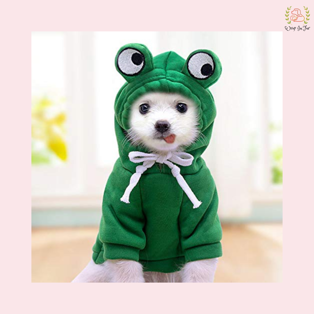 Cute Frog Dog Hoodie – Warm, Cozy & Cartoon Style Winter Wear
