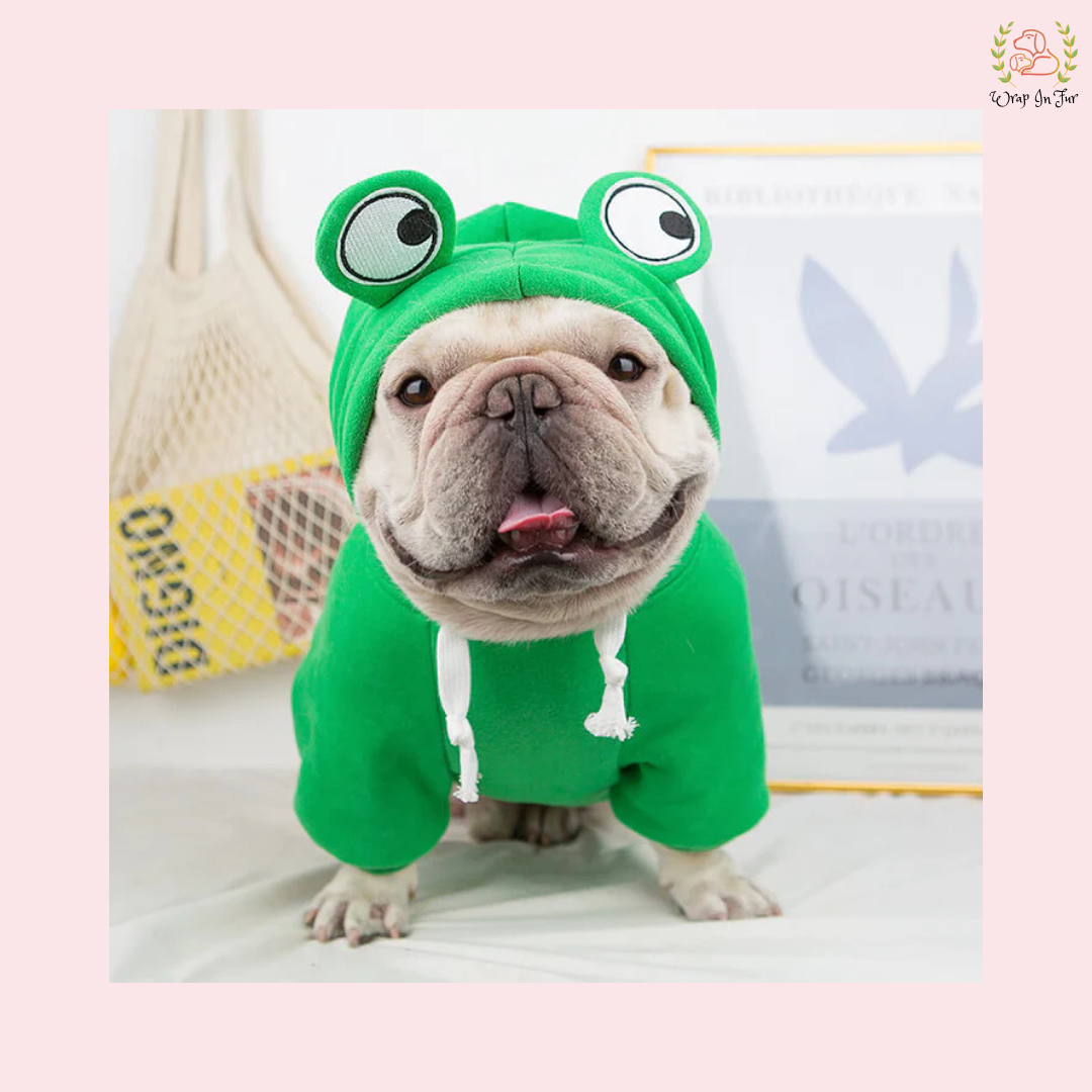 Cute Frog Dog Hoodie – Warm, Cozy & Cartoon Style Winter Wear