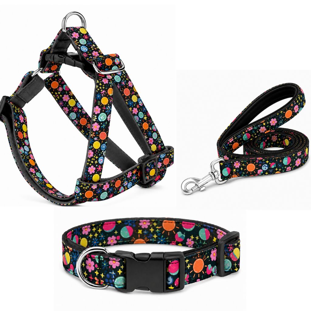 Cute Garden Dog Harness With Leash, Collar Set