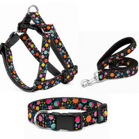 Cute Garden Dog Harness With Leash, Collar Set