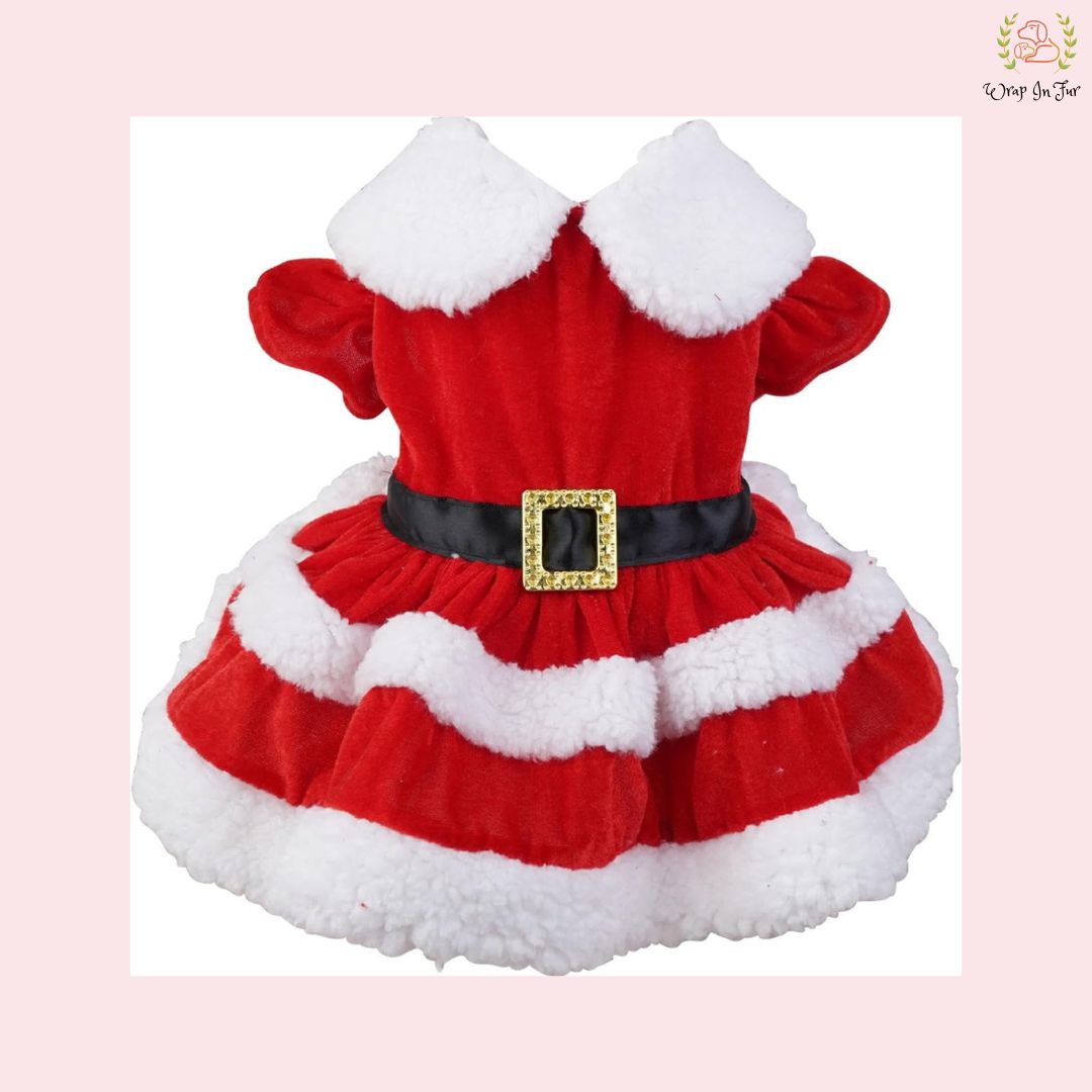 Cute Miss Santa Festive Pet Dress – Cozy Winter Christmas Wear