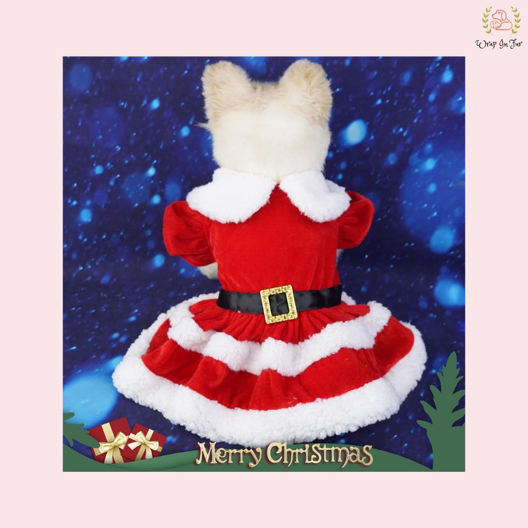 Cute Miss Santa Festive Pet Dress – Cozy Winter Christmas Wear