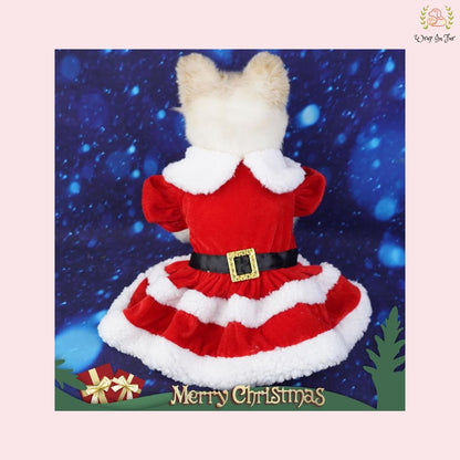Cute Miss Santa Festive Pet Dress – Cozy Winter Christmas Wear