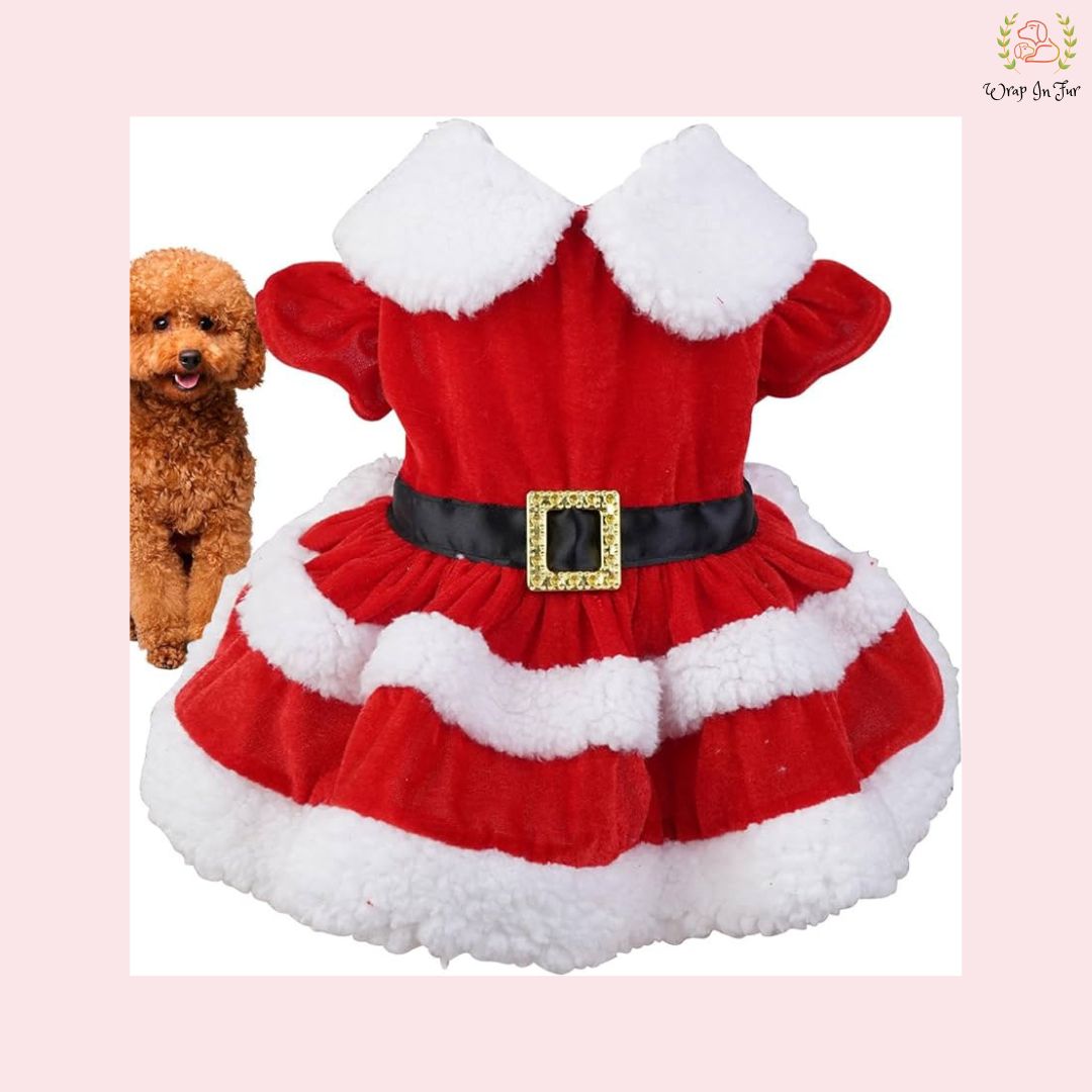 Cute Miss Santa Festive Pet Dress – Cozy Winter Christmas Wear