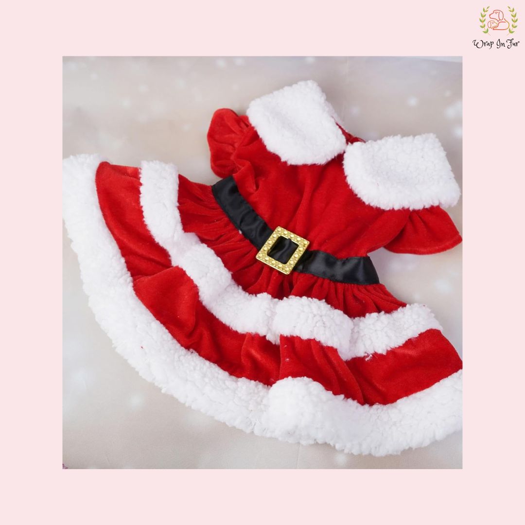 Cute Miss Santa Festive Pet Dress – Cozy Winter Christmas Wear