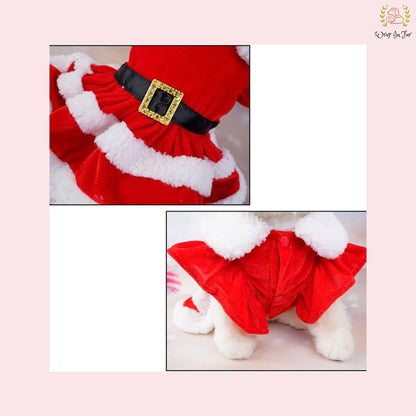 Cute Miss Santa Festive Pet Dress – Cozy Winter Christmas Wear