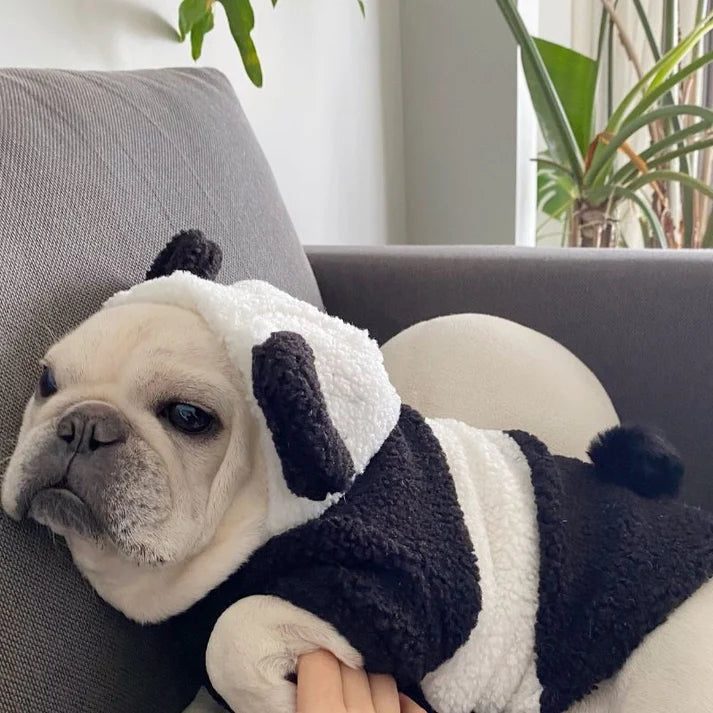 Cute Panda Dog Onesie | Comfortable Winter Jumpsuit for Winters