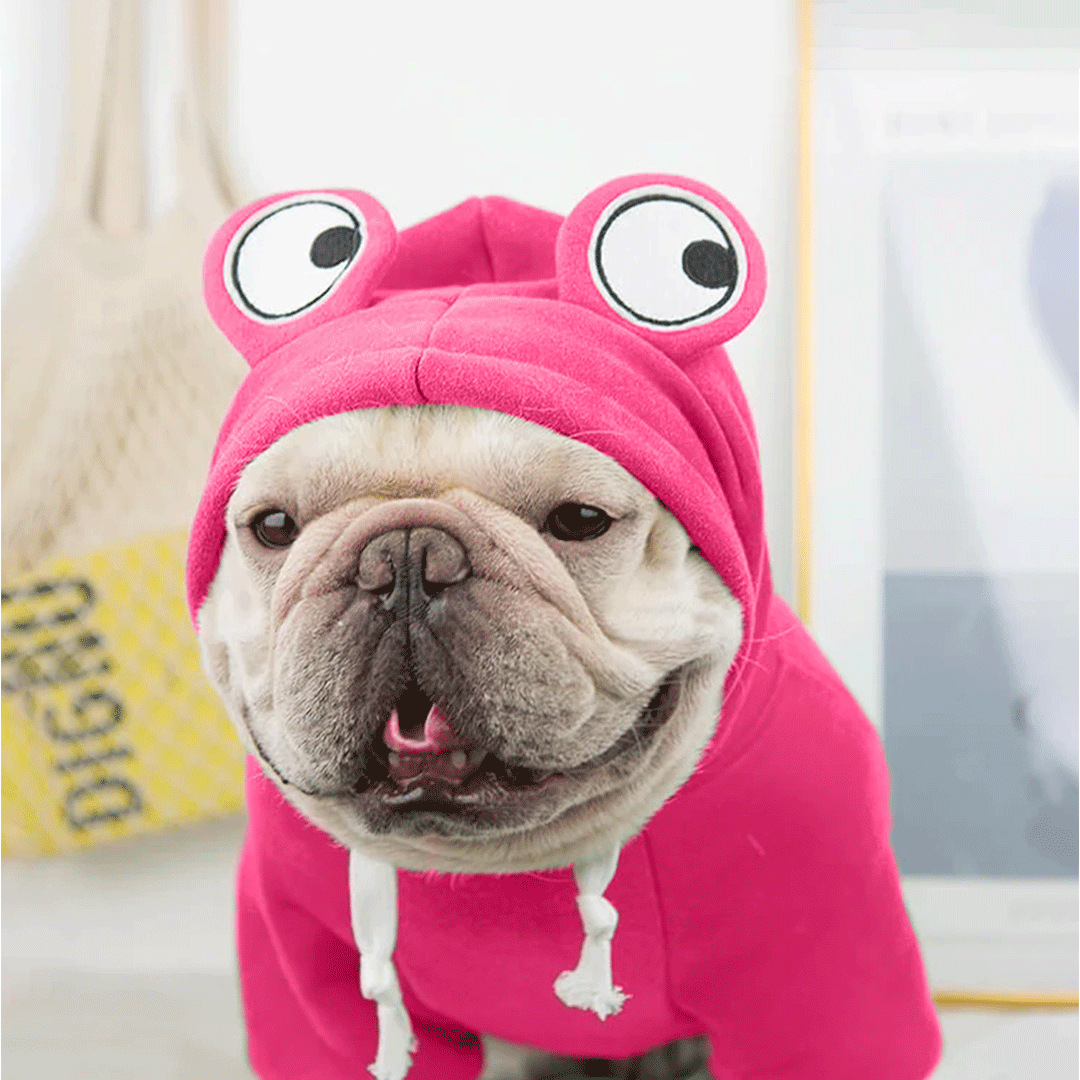 Cute Pink Froggy Dog Hoodie – Cozy Winter Wear for Pets