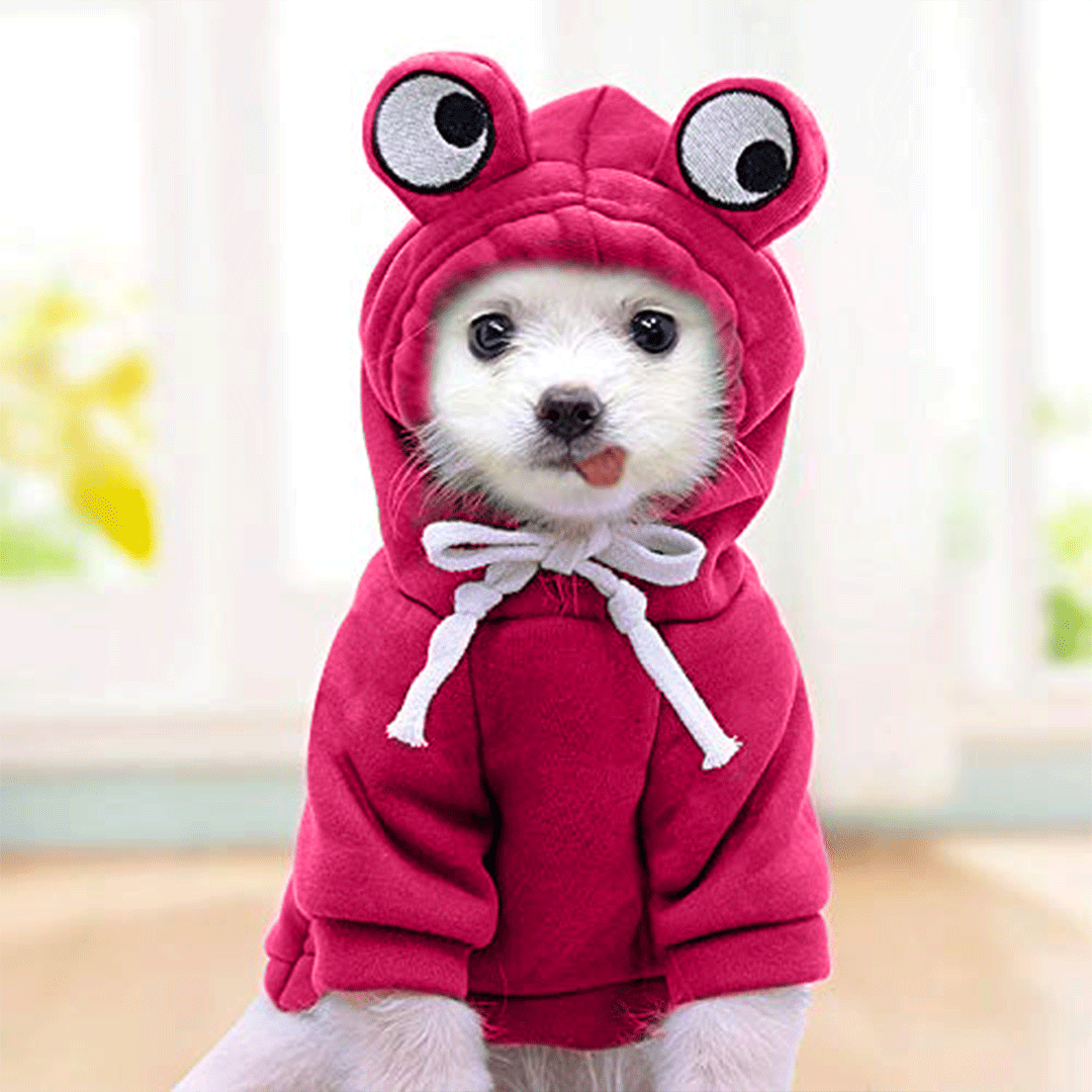 Cute Pink Froggy Dog Hoodie – Cozy Winter Wear for Pets