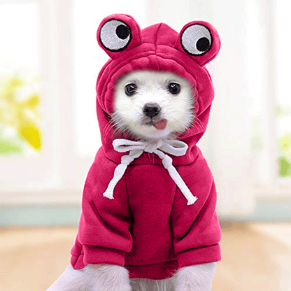 Cute Pink Froggy Dog Hoodie – Cozy Winter Wear for Pets